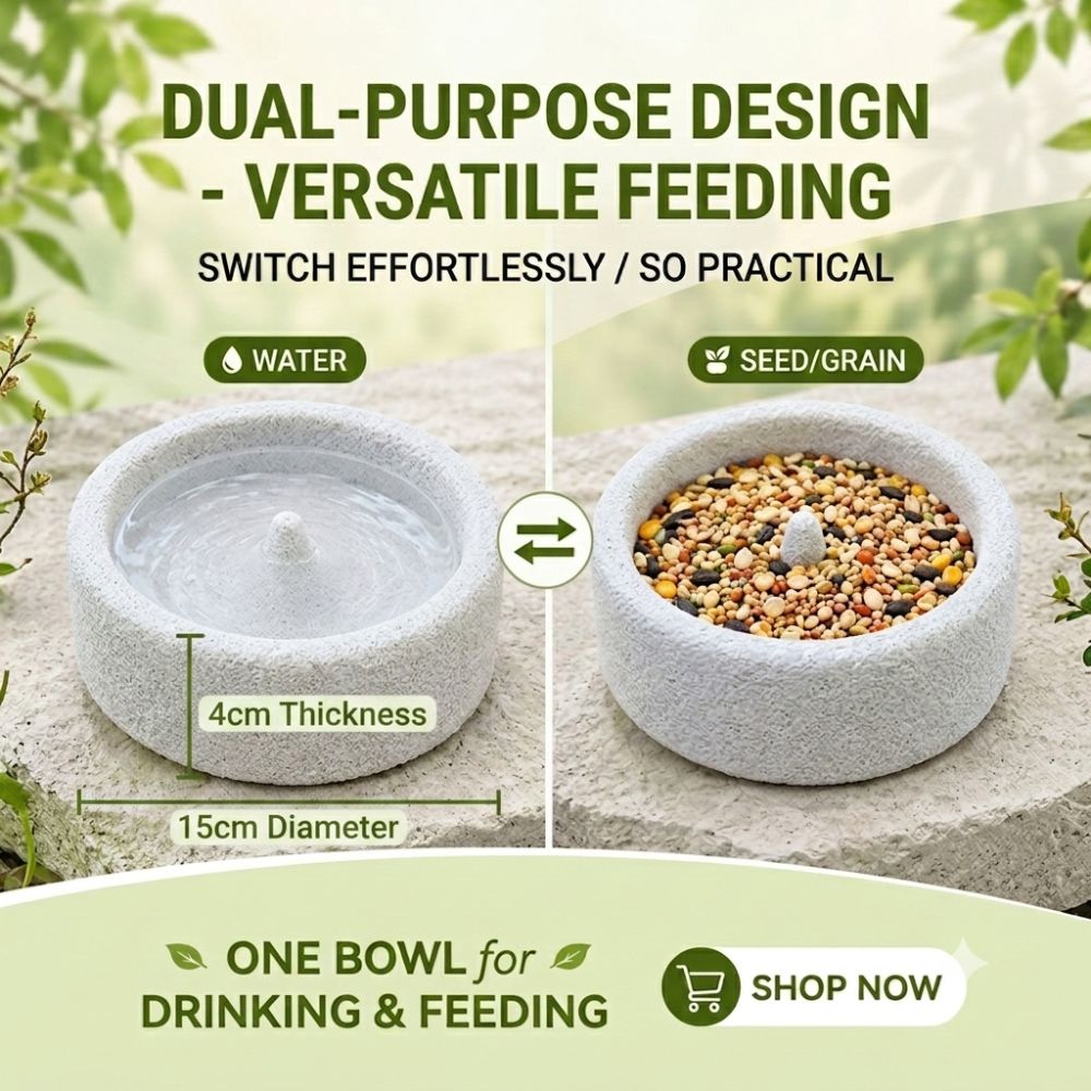 Natural Lava Stone Bird Feeder Bowl – 2-in-1 Beak & Claw Trimming Food Dish