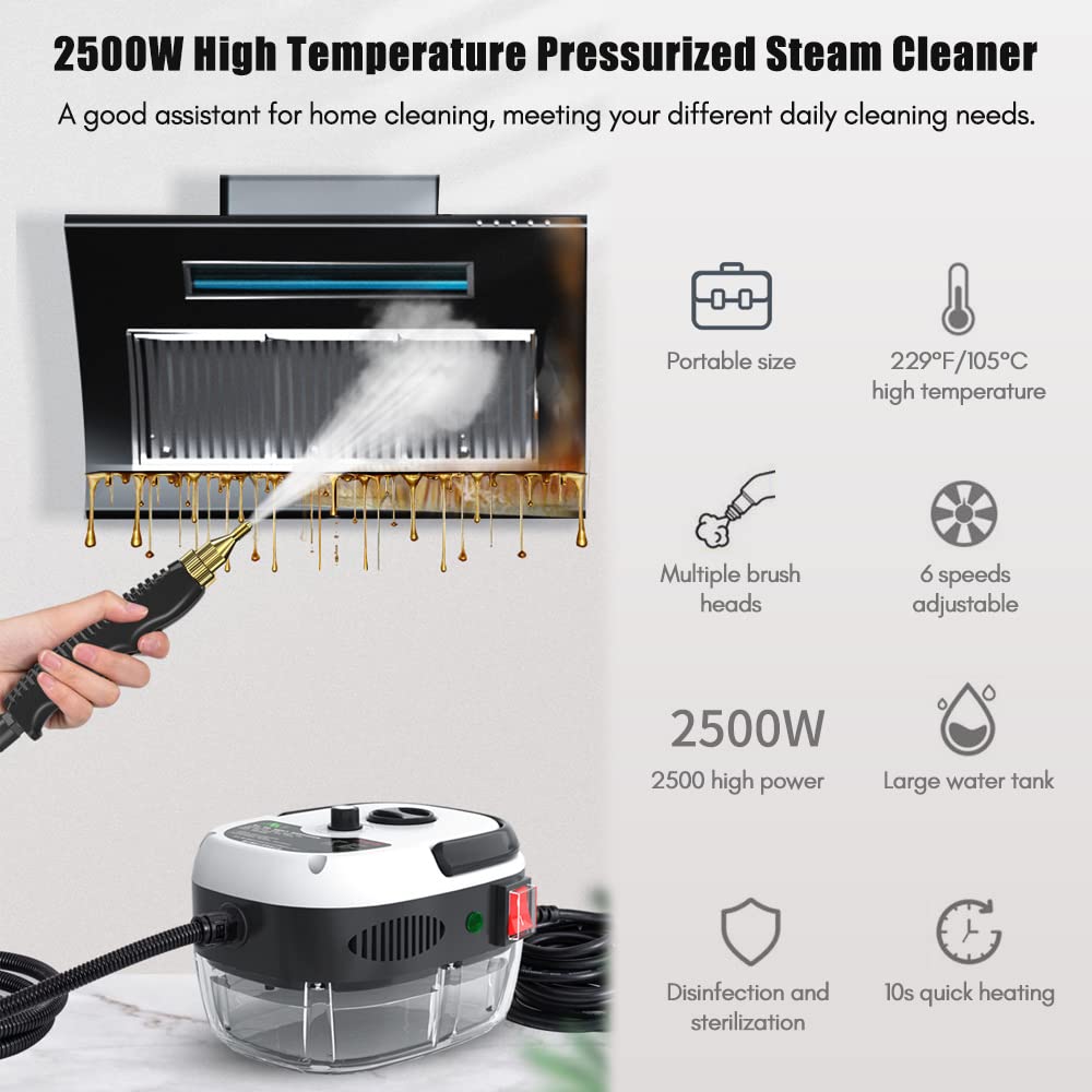 AvianSteam Pro