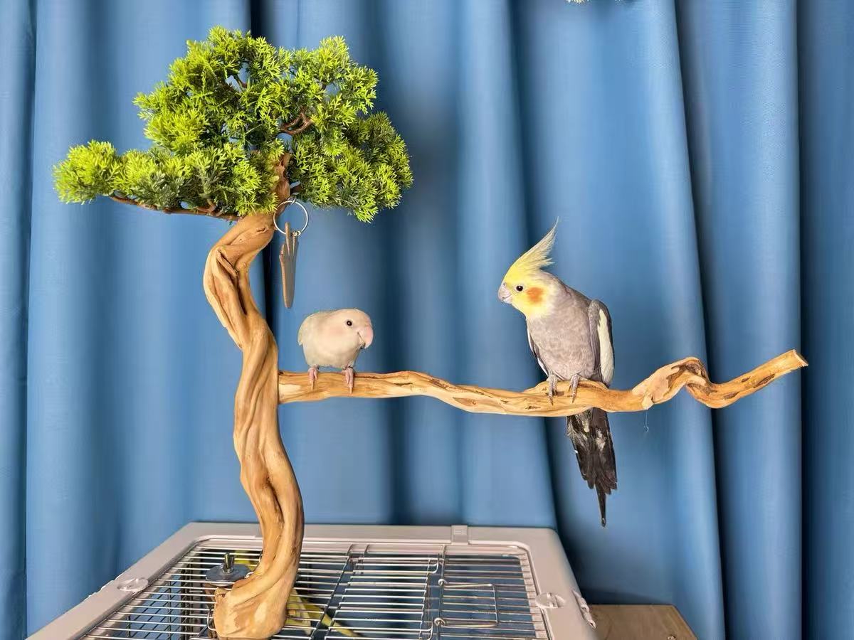 "The Roosting Bough"