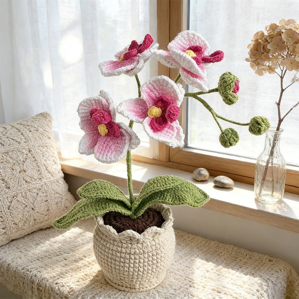 Gehäkelte Schmetterlingsorchidee – Blumenbastelarbeit mit Farbverlauf | Schreibtischdekoration - Rosa - image 1