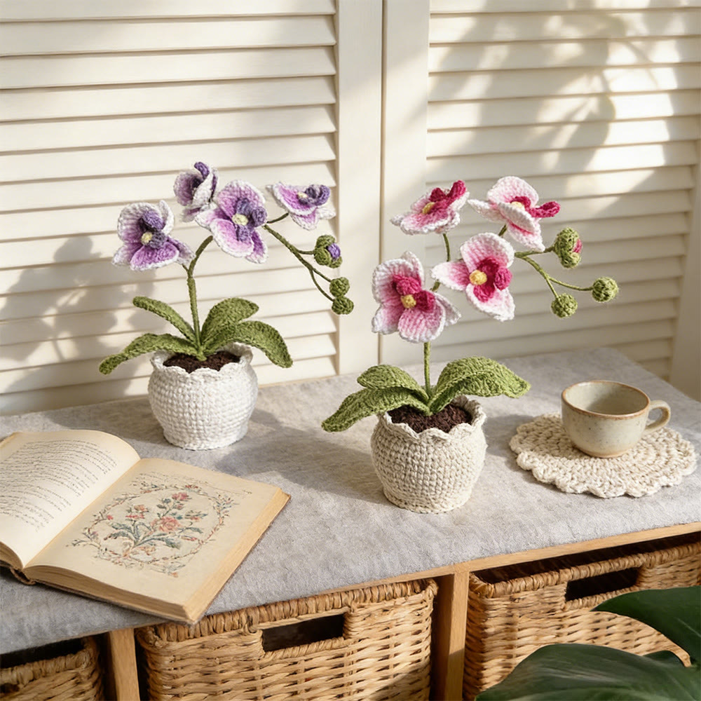 Gehäkelte Schmetterlingsorchidee – Blumenbastelarbeit mit Farbverlauf | Schreibtischdekoration - image 3