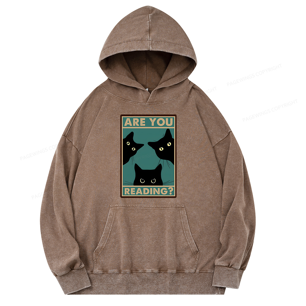 Pagewings Are You Reading Unisex Washed Hoodie