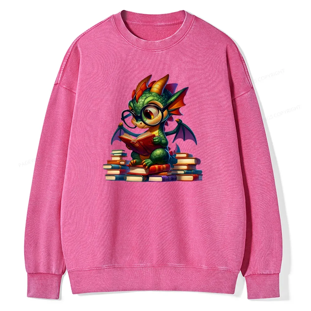 Pagewings Dragon And Books Unisex Washed Sweatshirt