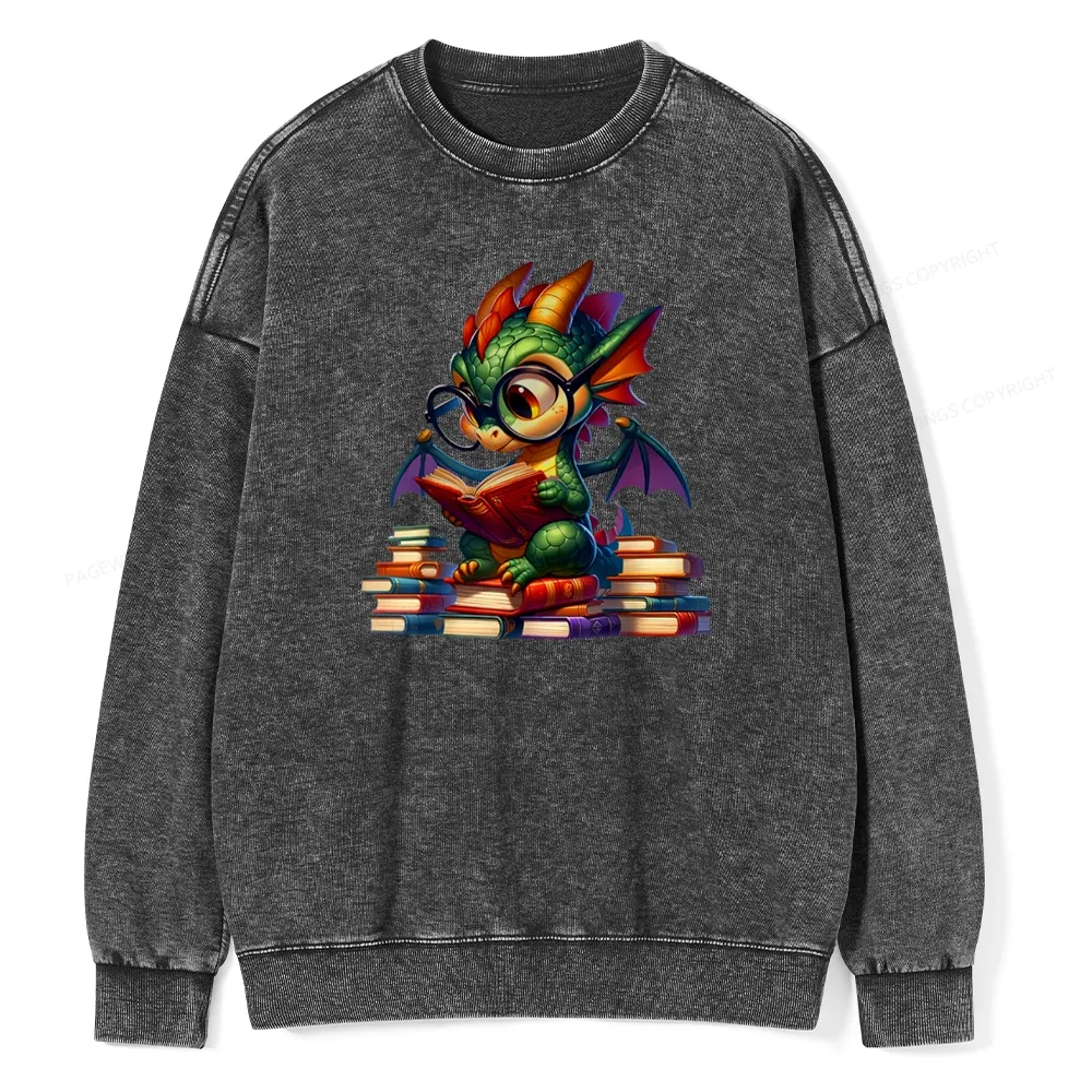 Pagewings Dragon And Books Unisex Washed Sweatshirt
