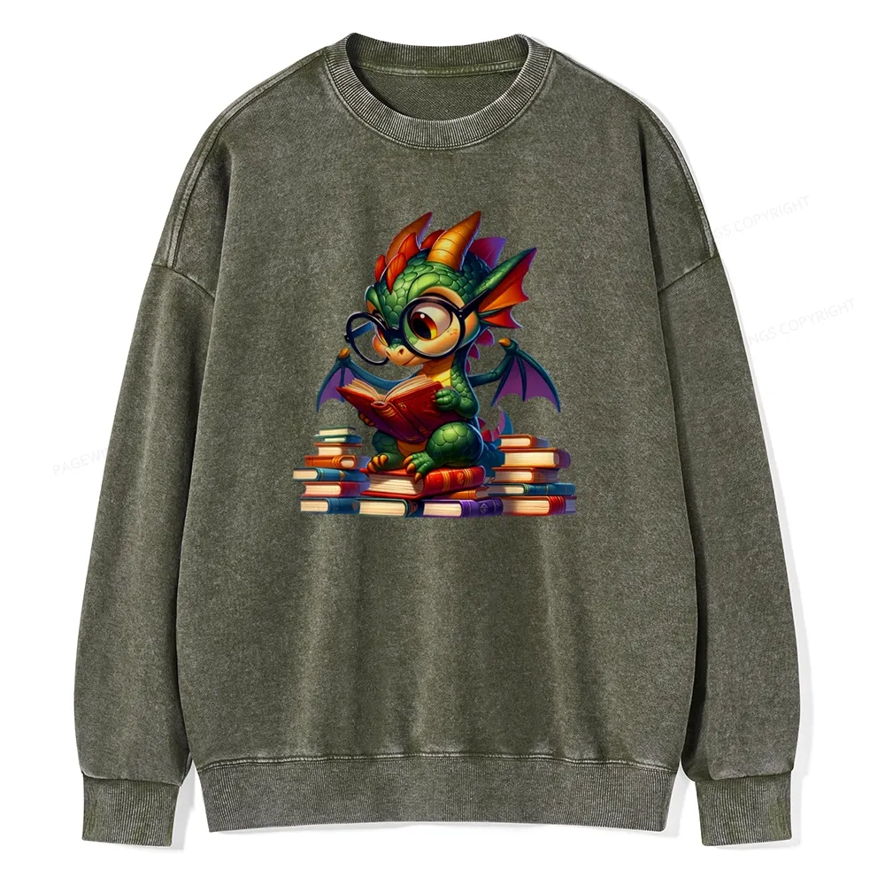 Pagewings Dragon And Books Unisex Washed Sweatshirt