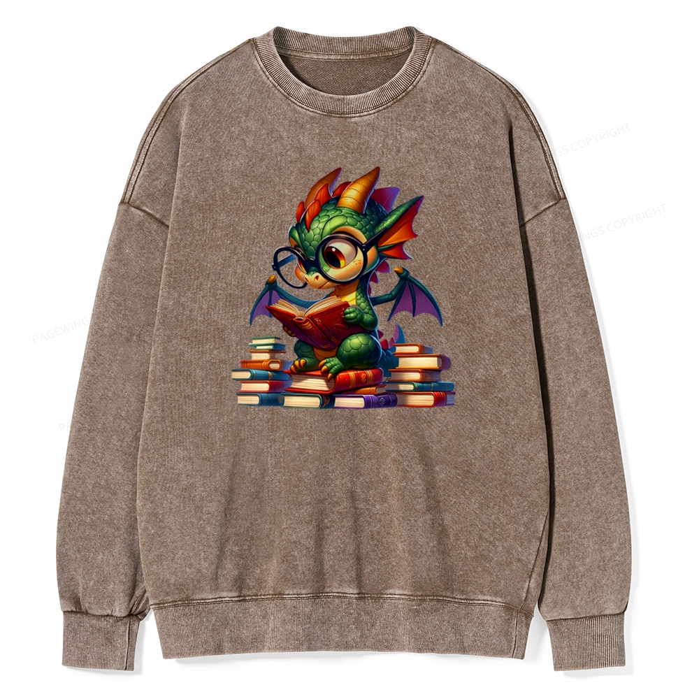 Pagewings Dragon And Books Unisex Washed Sweatshirt