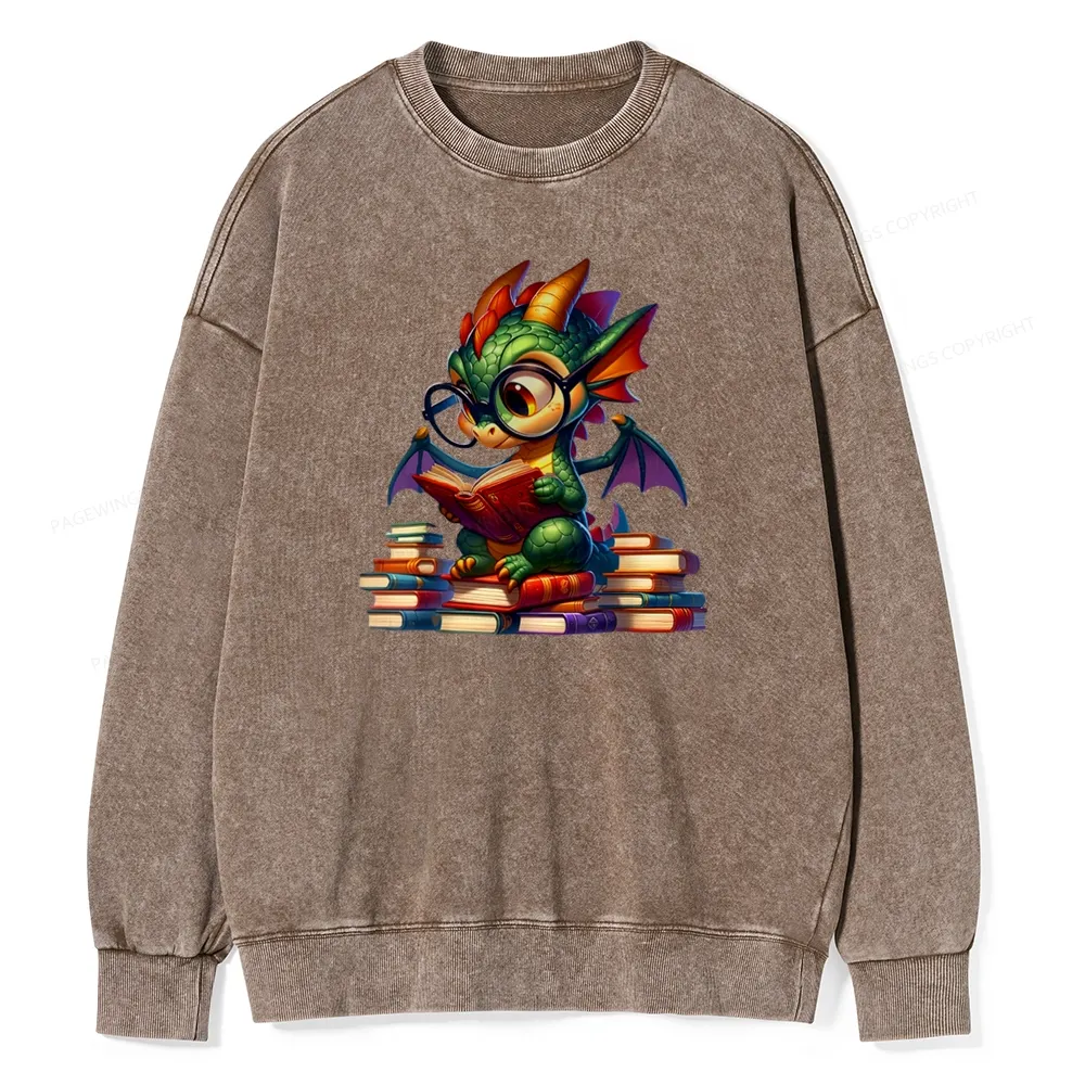 Pagewings Dragon And Books Unisex Washed Sweatshirt