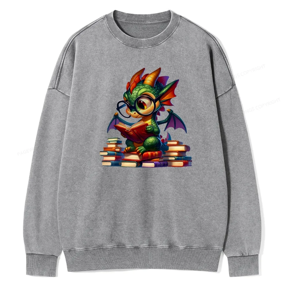 Pagewings Dragon And Books Unisex Washed Sweatshirt