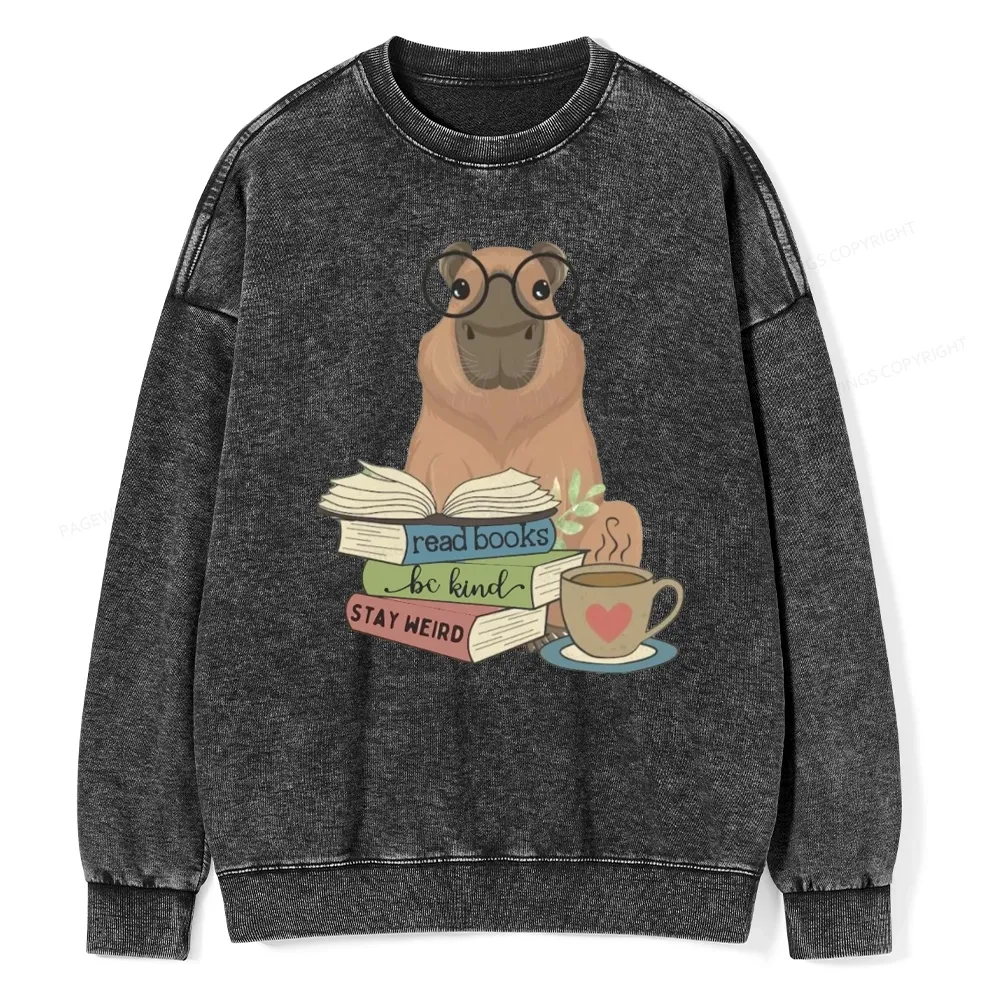Pagewings Capybara Reading Unisex Washed Sweatshirt