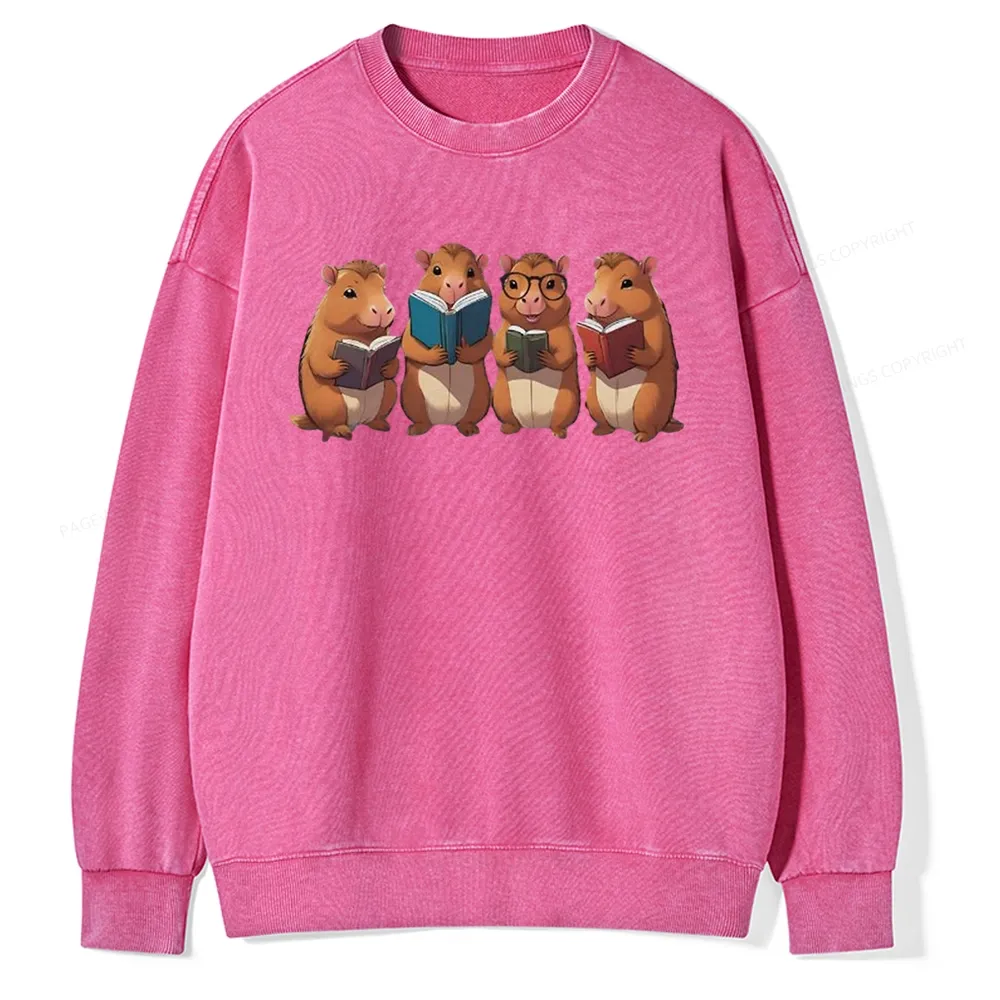Tea Books Capybara Reading Unisex Washed Sweatshirt