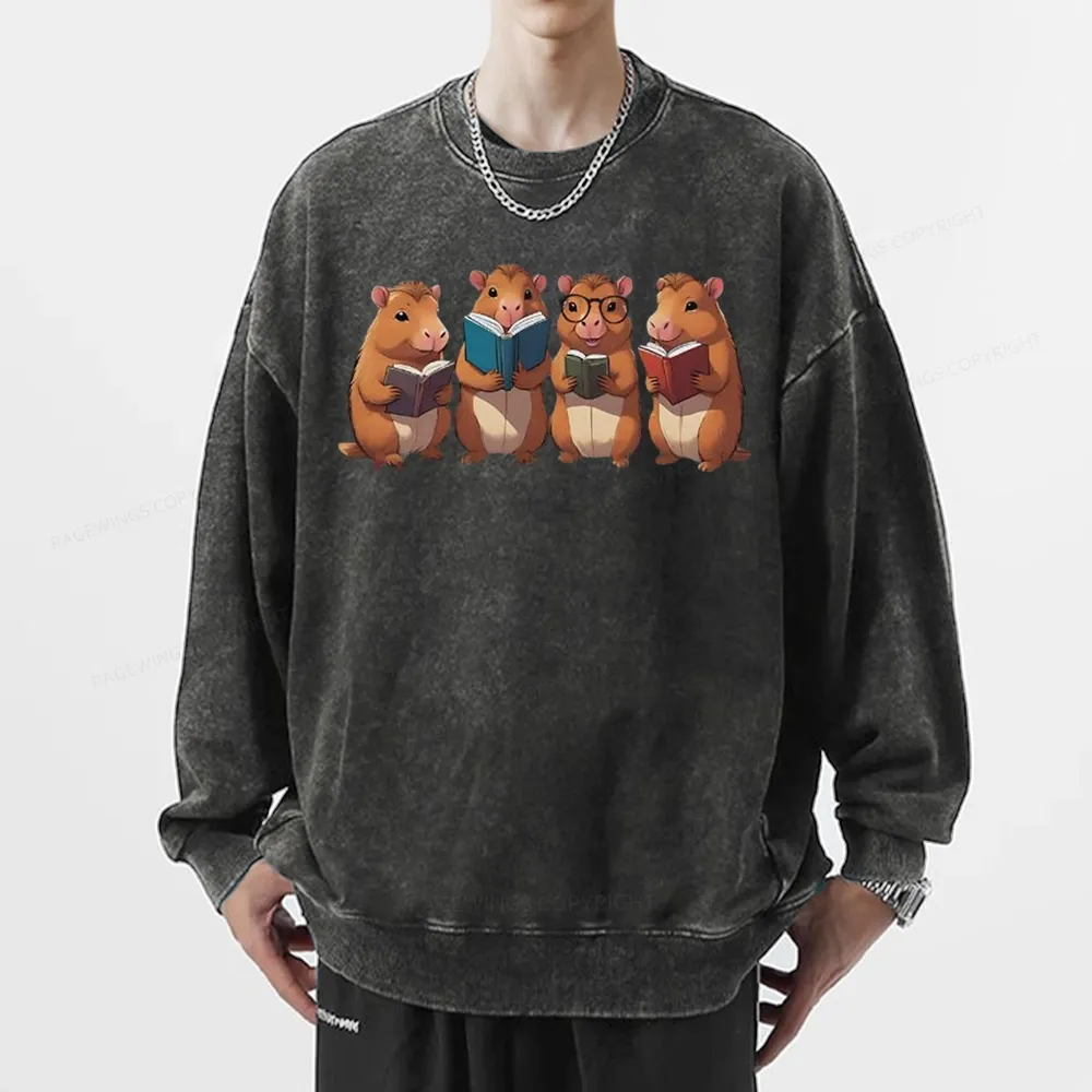 Tea Books Capybara Reading Unisex Washed Sweatshirt