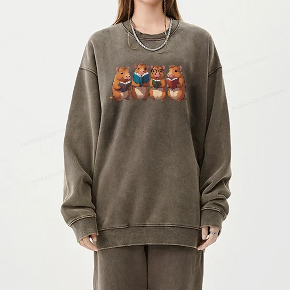 Tea Books Capybara Reading Unisex Washed Sweatshirt