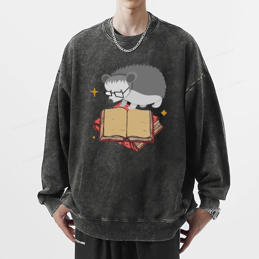 Pagewing Fun Hedgehog Is Reading Unisex Washed Sweatshirt