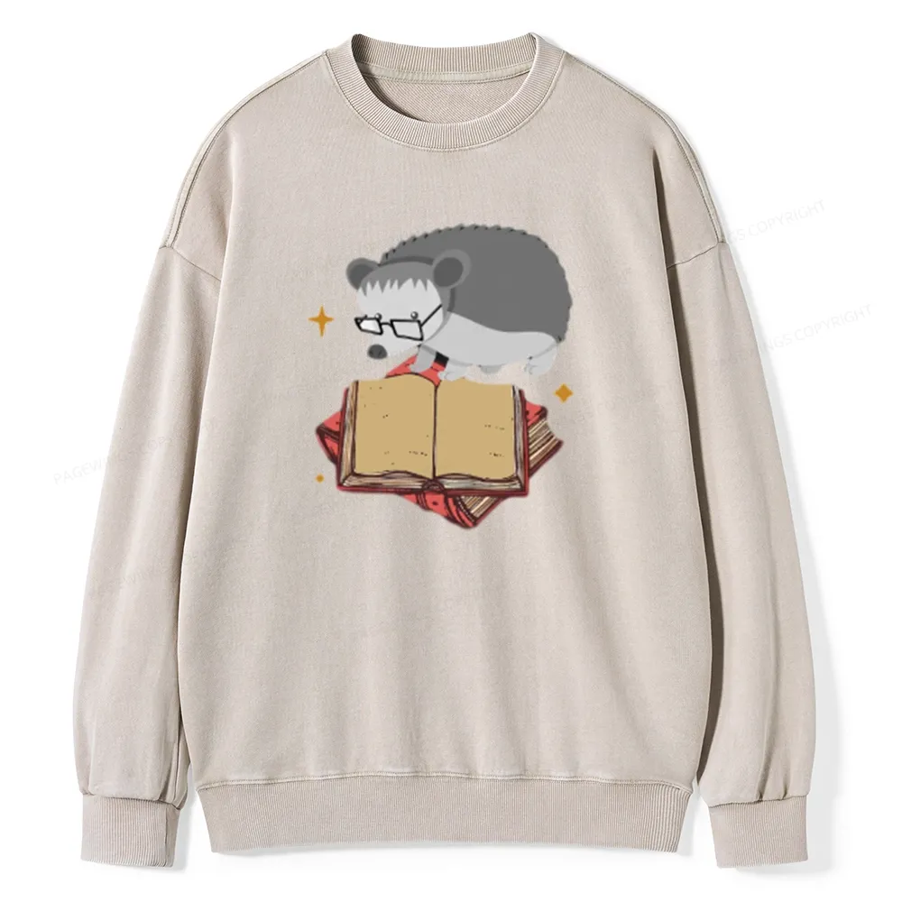 Pagewing Pagewing Save Our Librarys For Keeping Reading Unisex Washed Sweatshirt