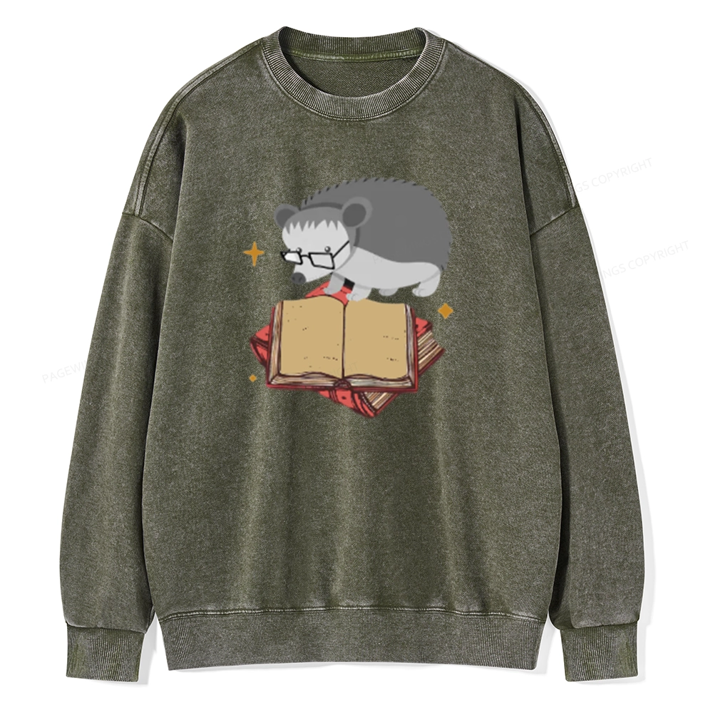 Pagewing Fun Hedgehog Is Reading Unisex Washed Sweatshirt