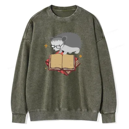 Pagewing Fun Hedgehog Is Reading Unisex Washed Sweatshirt