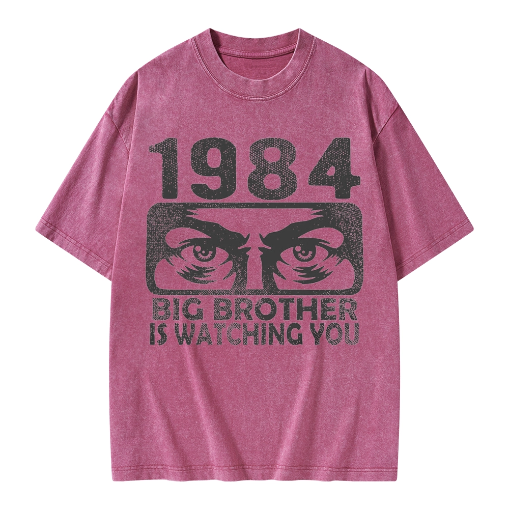 Pagewings Big Brother is Watching You Unisex Washed T-shirt