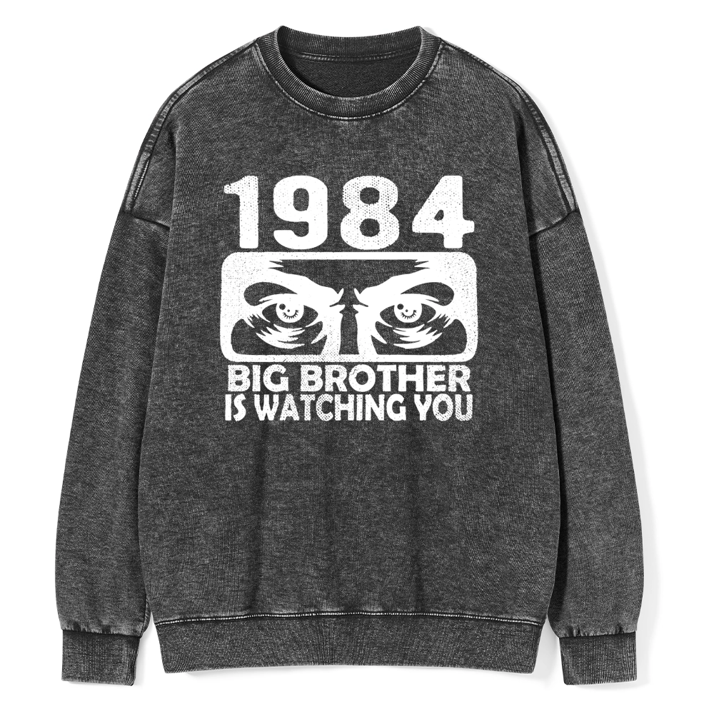 Pagewings  Big Brother is Watching You Unisex Washed Sweatshirt