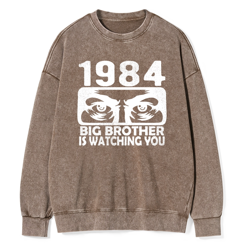 Pagewings  Big Brother is Watching You Unisex Washed Sweatshirt