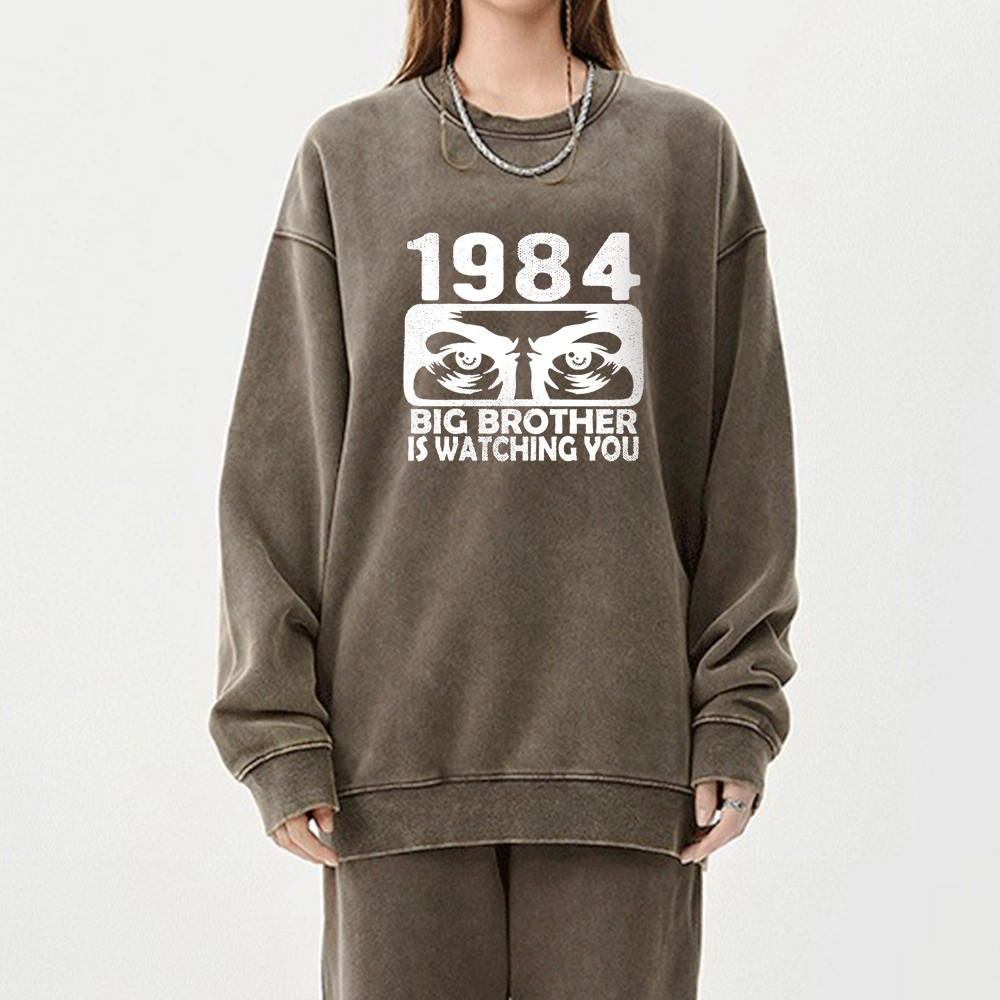 Pagewings  Big Brother is Watching You Unisex Washed Sweatshirt