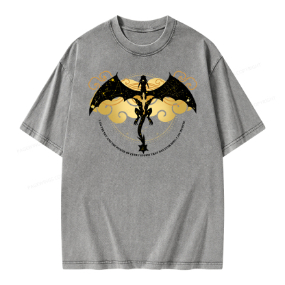 Pagewings Fourthwing Unisex Washed T-shirt