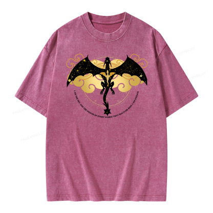 Pagewings Fourthwing Unisex Washed T-shirt
