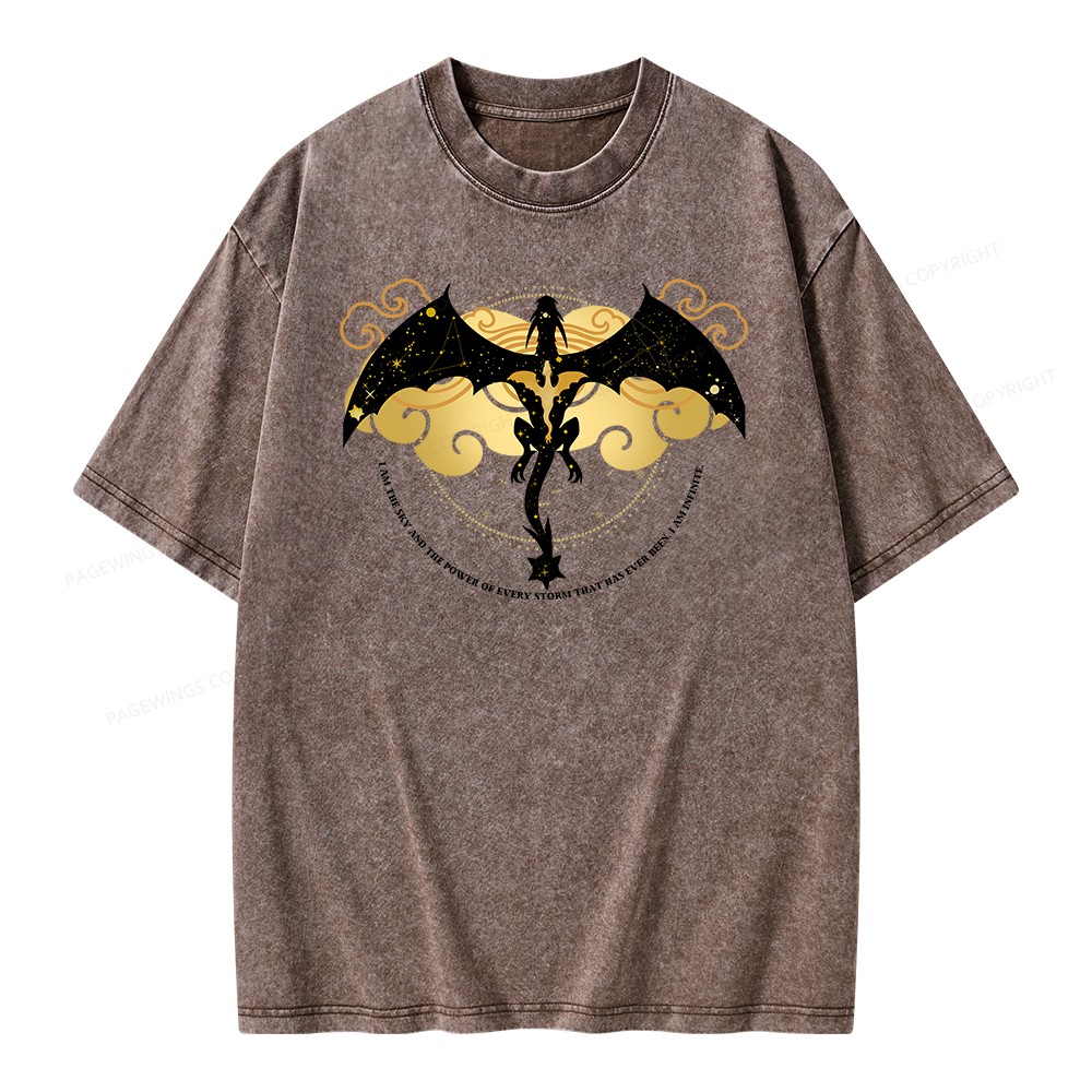 Pagewings Fourthwing Unisex Washed T-shirt