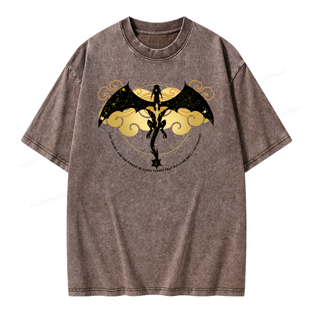 Pagewings Fourthwing Unisex Washed T-shirt