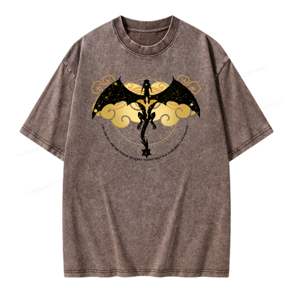 Pagewings Fourthwing Unisex Washed T-shirt