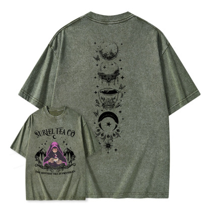 Pagewings A Court Of Thorns And Roses Unisex Washed T-shirt