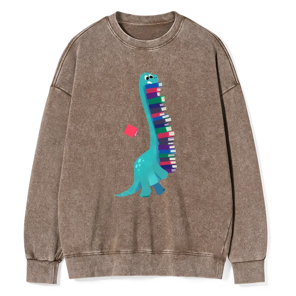 Pagewings Book Dinosaurs Unisex Washed Sweatshirt