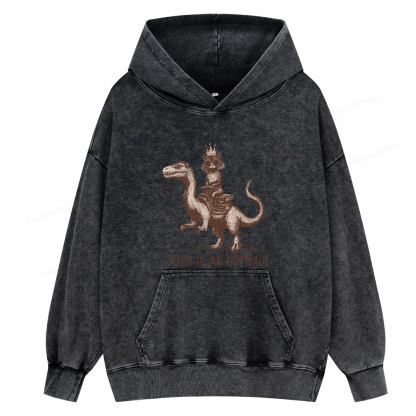 Pagewing Princess Donut Unisex Washed Hoodie