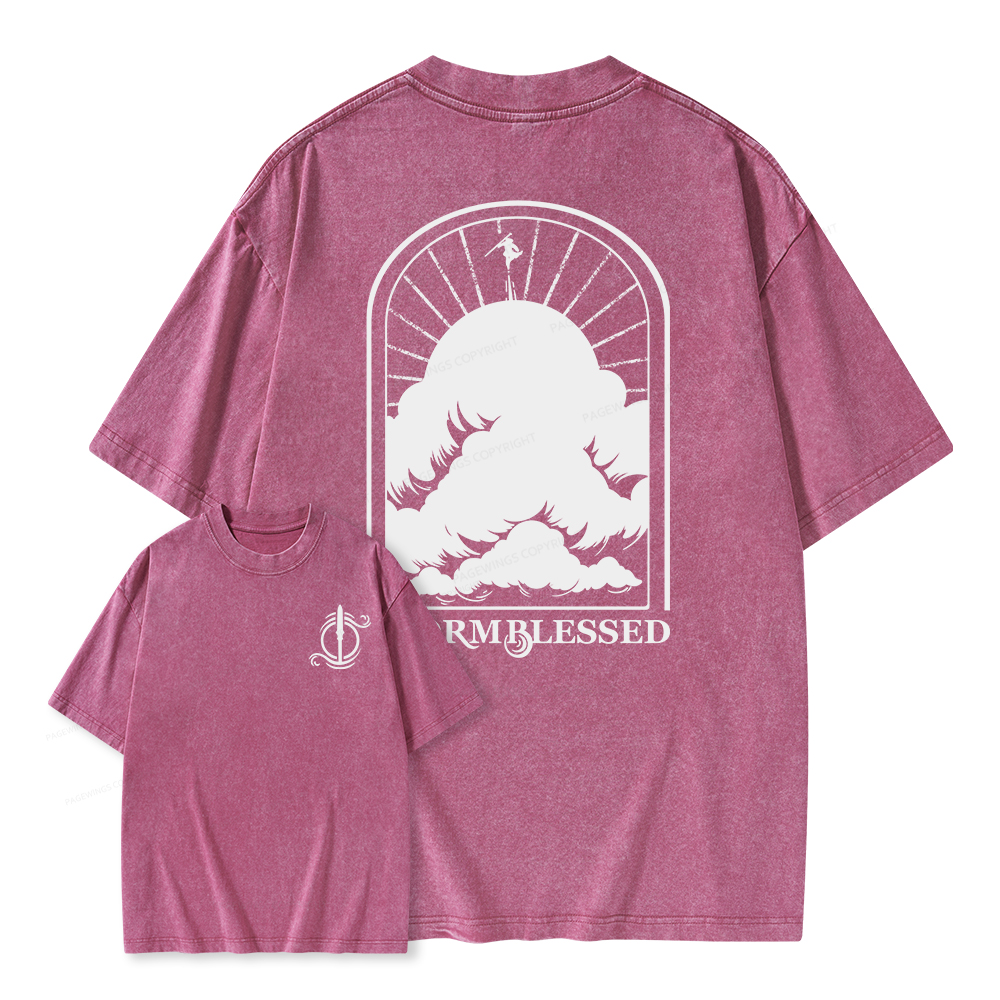 Pagewings Stormblessed Unisex Washed T-shirt