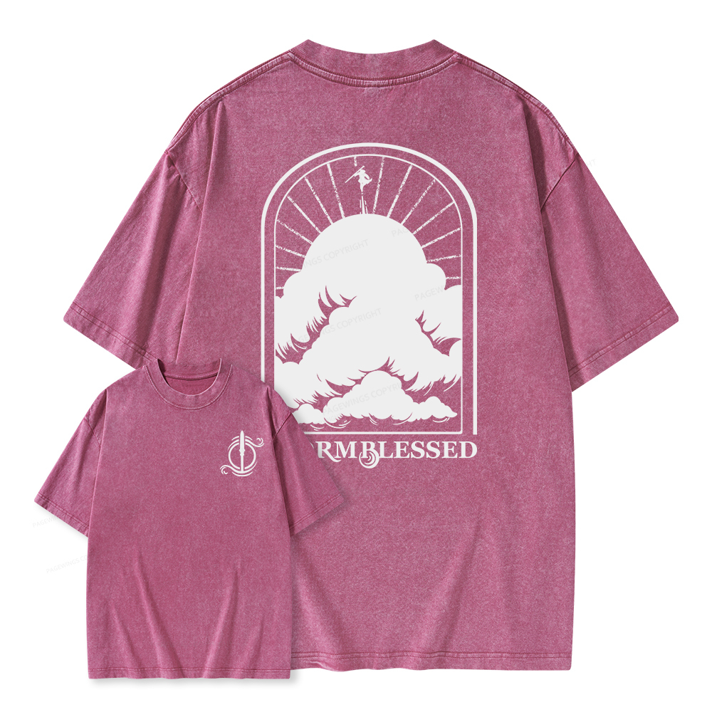 Pagewings Stormblessed Unisex Washed T-shirt