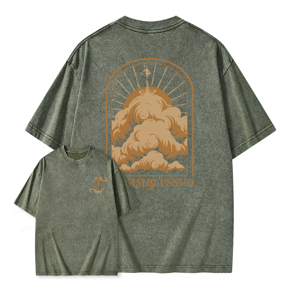 Pagewings Stormblessed Unisex Washed T-shirt