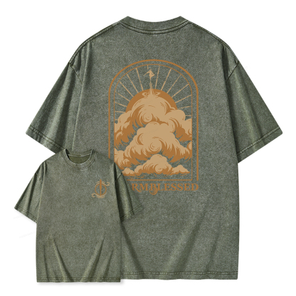 Pagewings Stormblessed Unisex Washed T-shirt