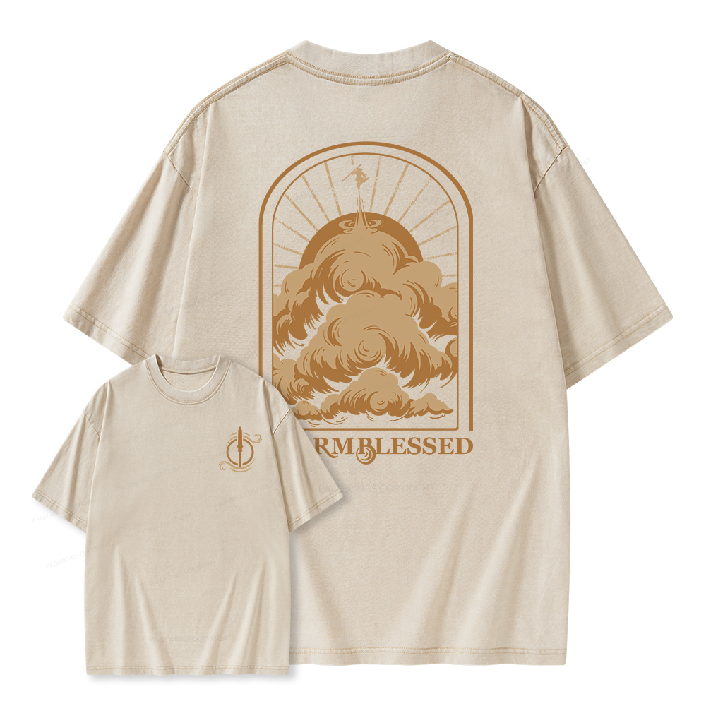 Pagewings Stormblessed Unisex Washed T-shirt
