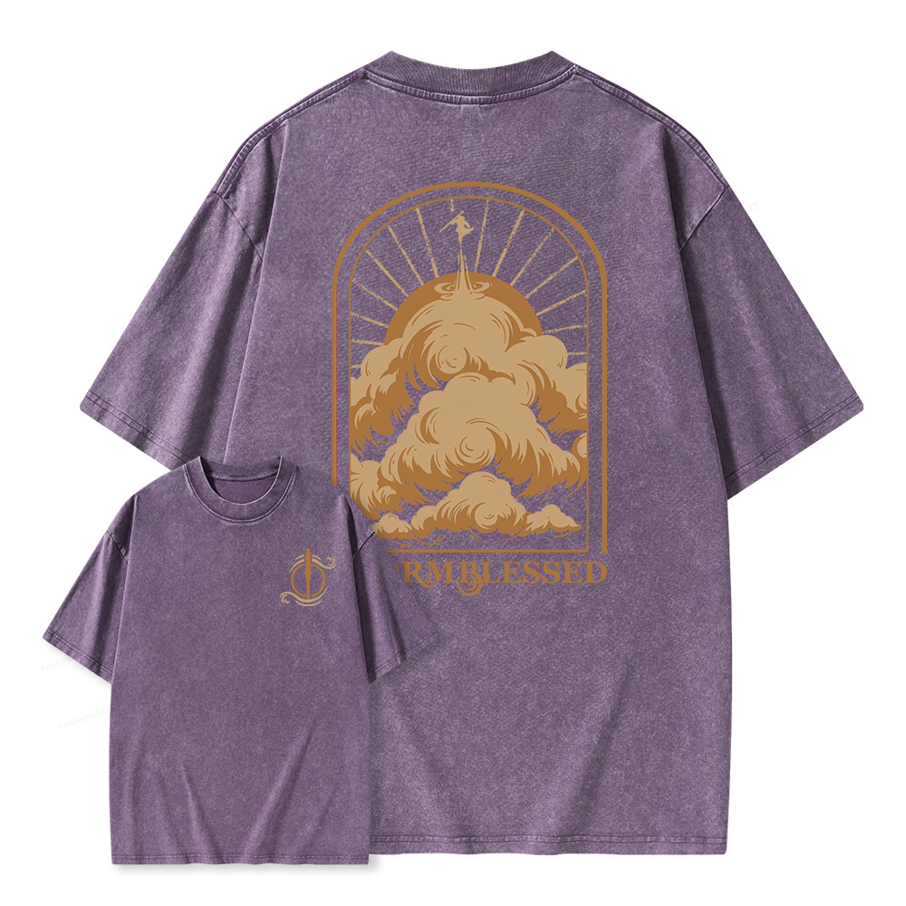 Pagewings Stormblessed Unisex Washed T-shirt
