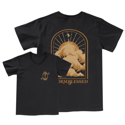 Pagewings Stormblessed V-neck T-shirt