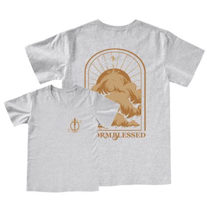 Pagewings Stormblessed V-neck T-shirt