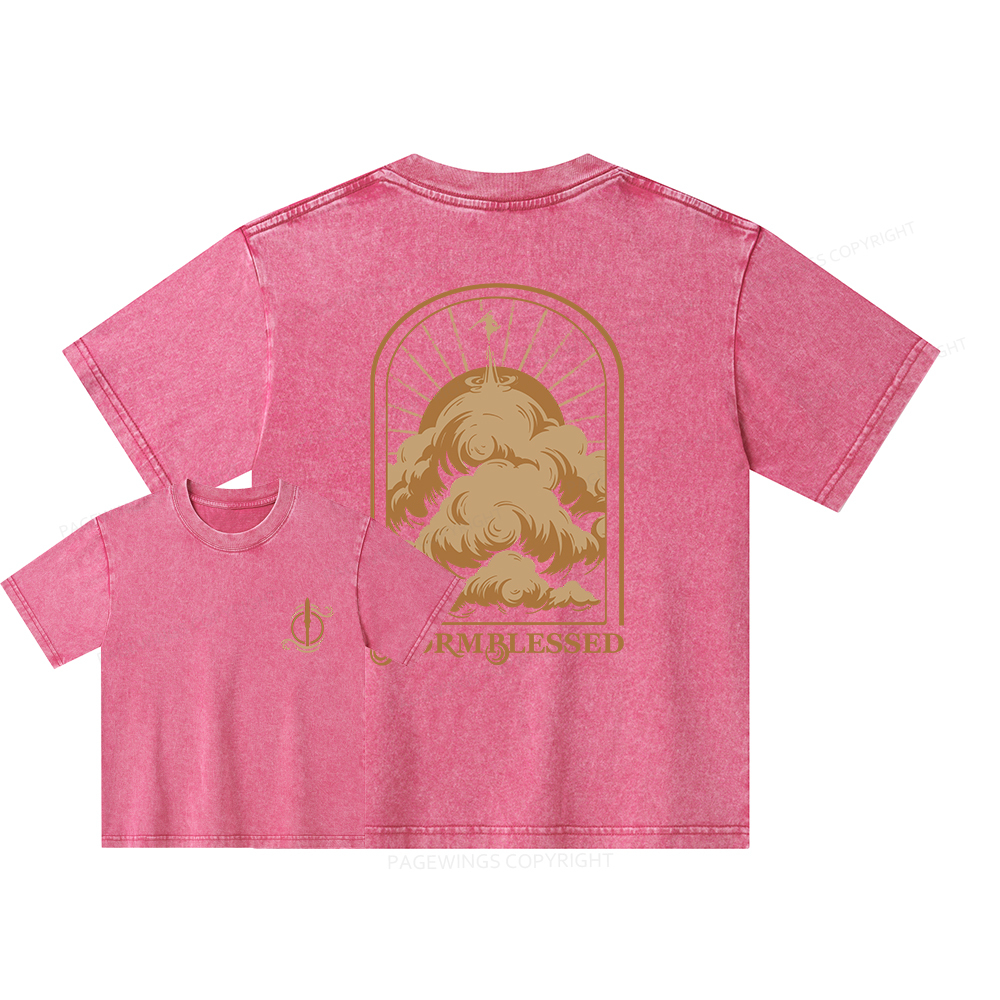 Pagewings Stormblessed Unisex Kids Washed T-shirt