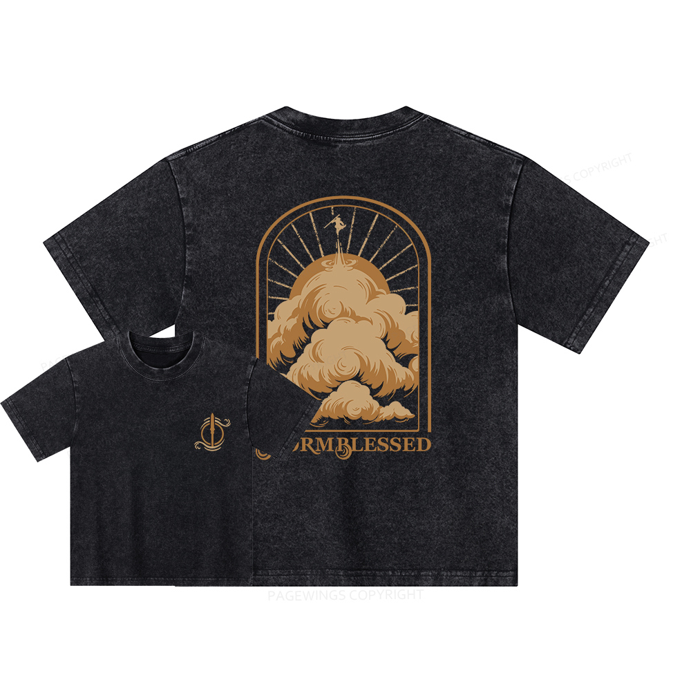 Pagewings Stormblessed Unisex Kids Washed T-shirt