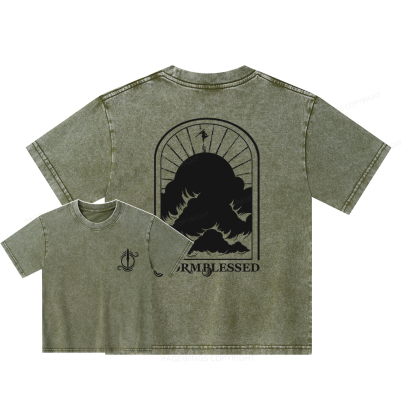 Pagewings Stormblessed Unisex Kids Washed T-shirt