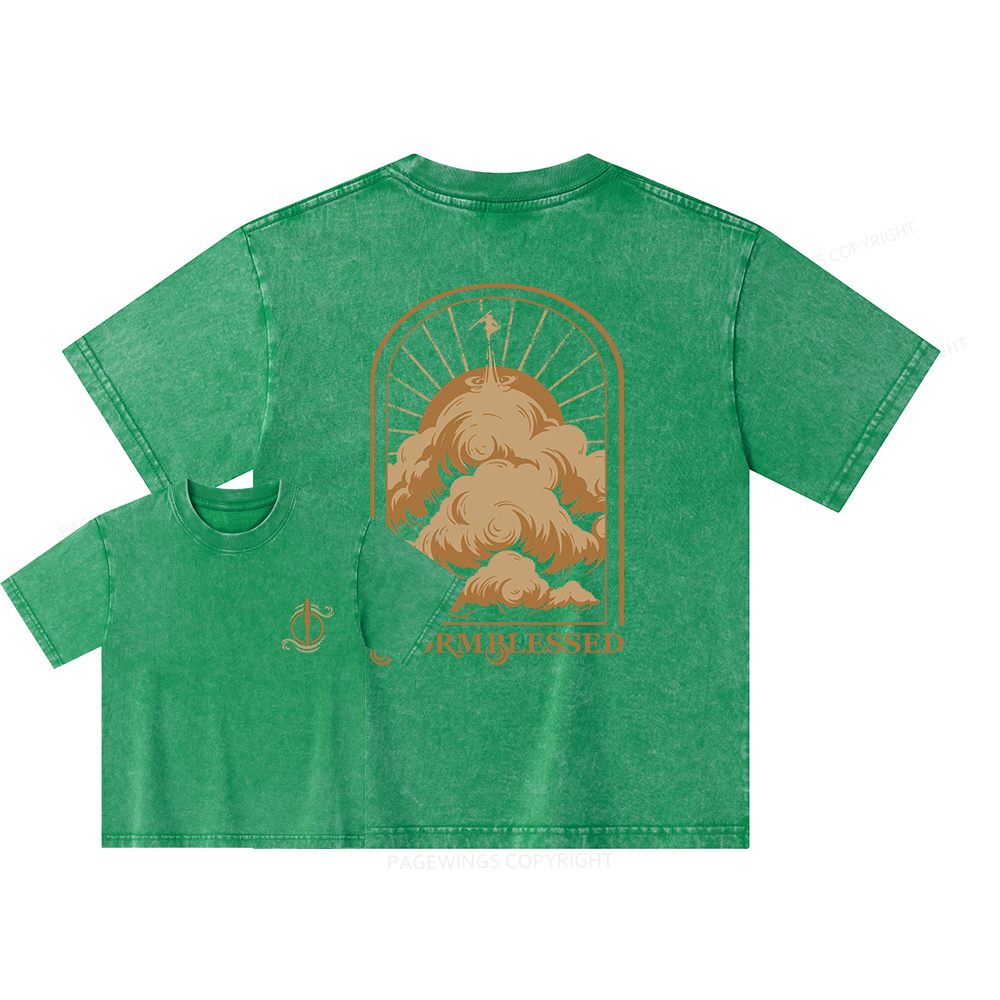 Pagewings Stormblessed Unisex Kids Washed T-shirt
