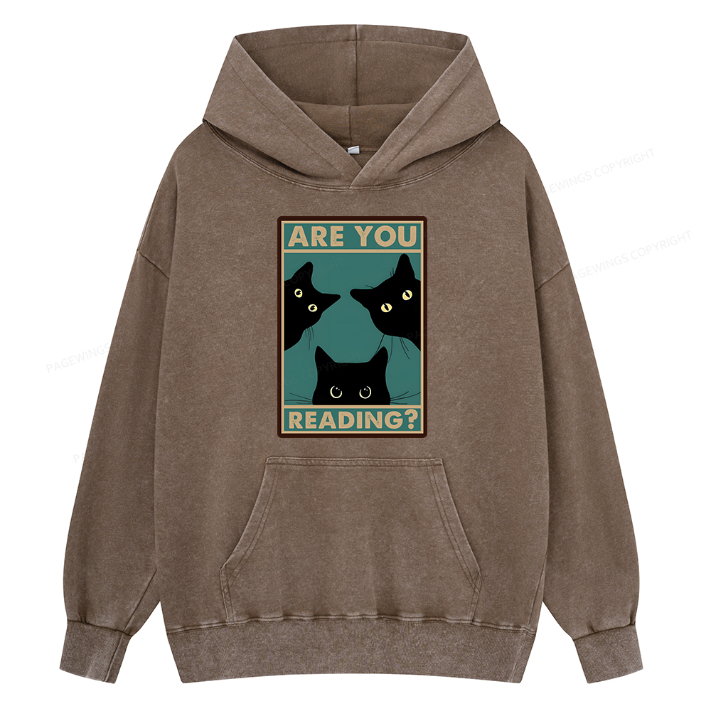 Pagewings Are You Reading Unisex Washed Hoodie