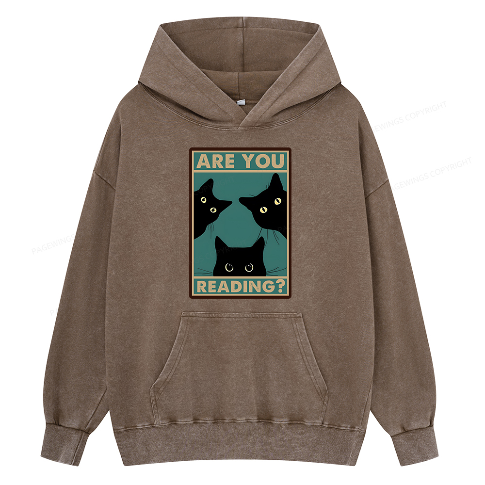 Pagewings Are You Reading Unisex Washed Hoodie