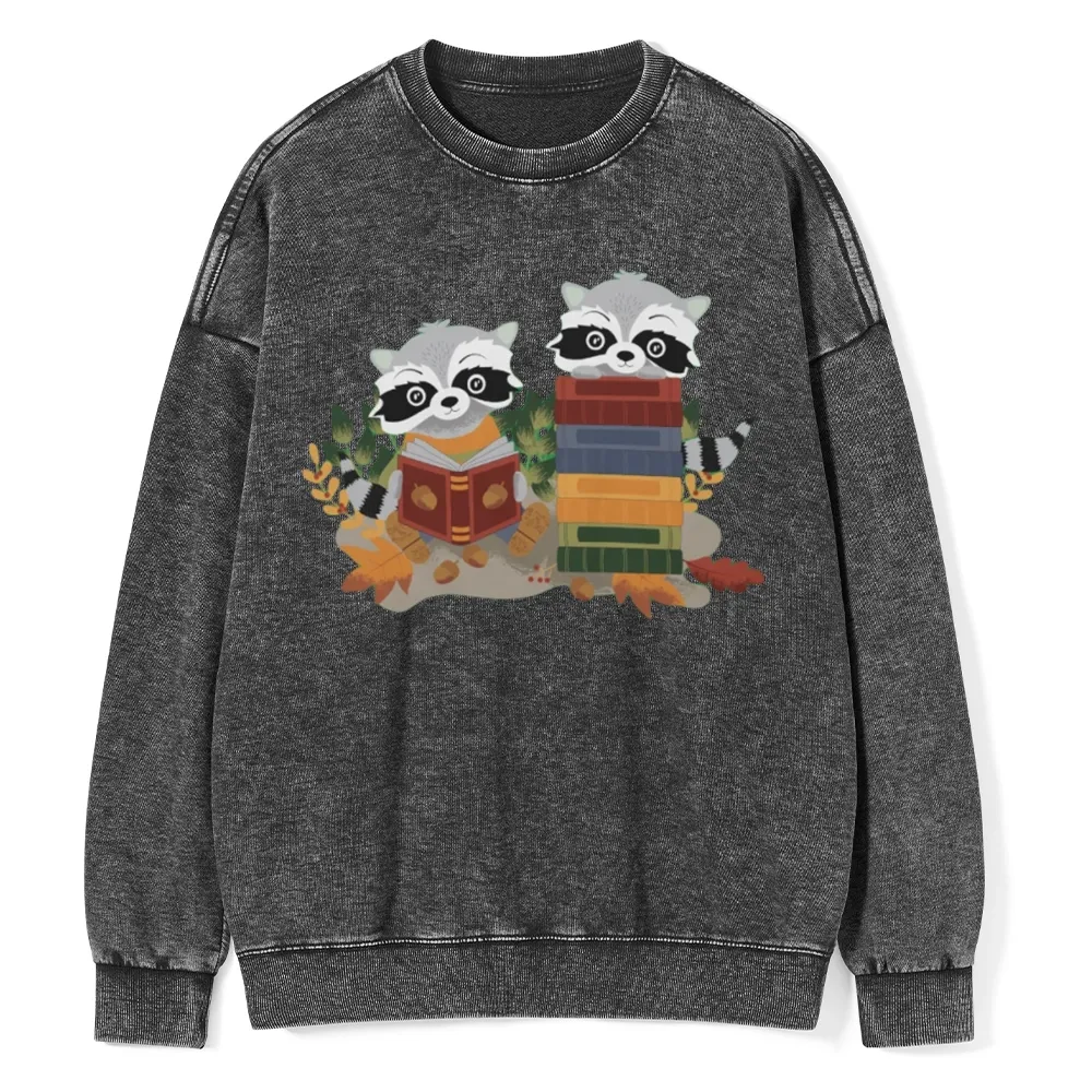 Pagewings Two Raccoons with Books Unisex Washed Sweatshirt