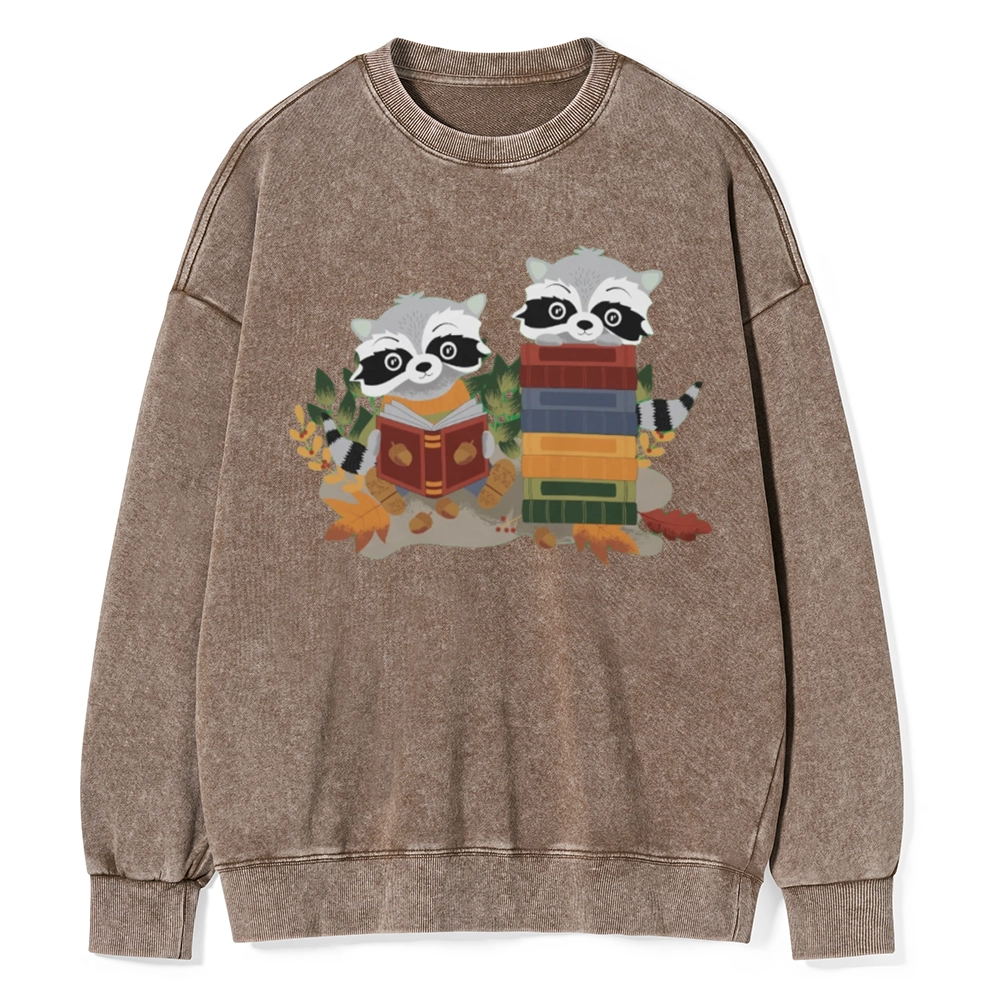 Pagewings Two Raccoons with Books Unisex Washed Sweatshirt