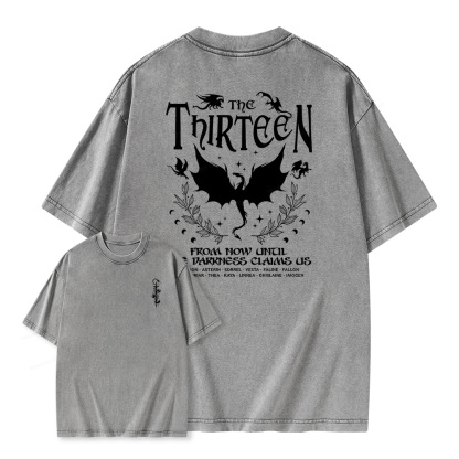 Pagewings The Thirteen Unisex Washed T-shirt