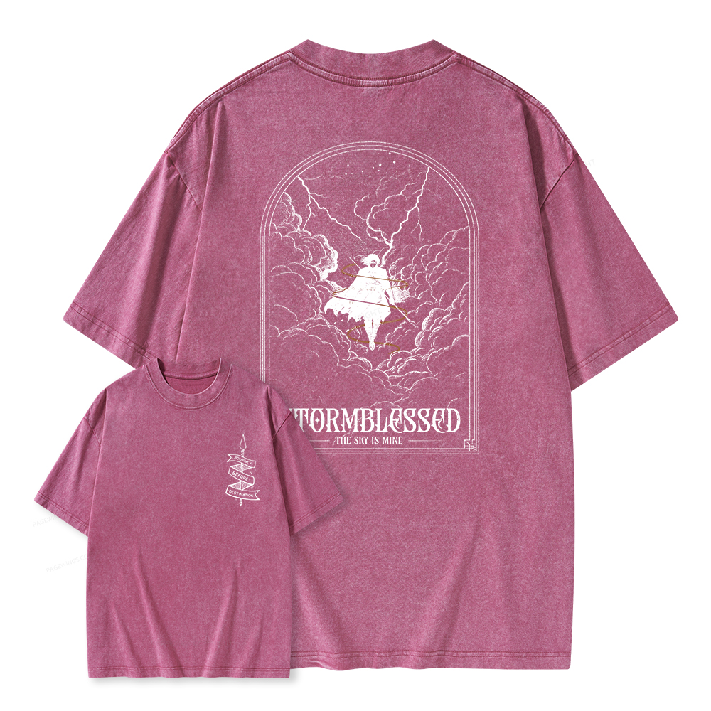 Pagewings Stormblessed Unisex Washed T-shirt
